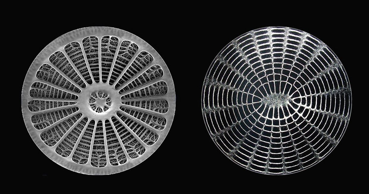 cymatics ableton helix download